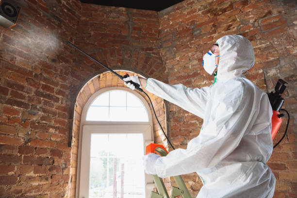 Forensic Mold Investigation in Indian Hills, KY